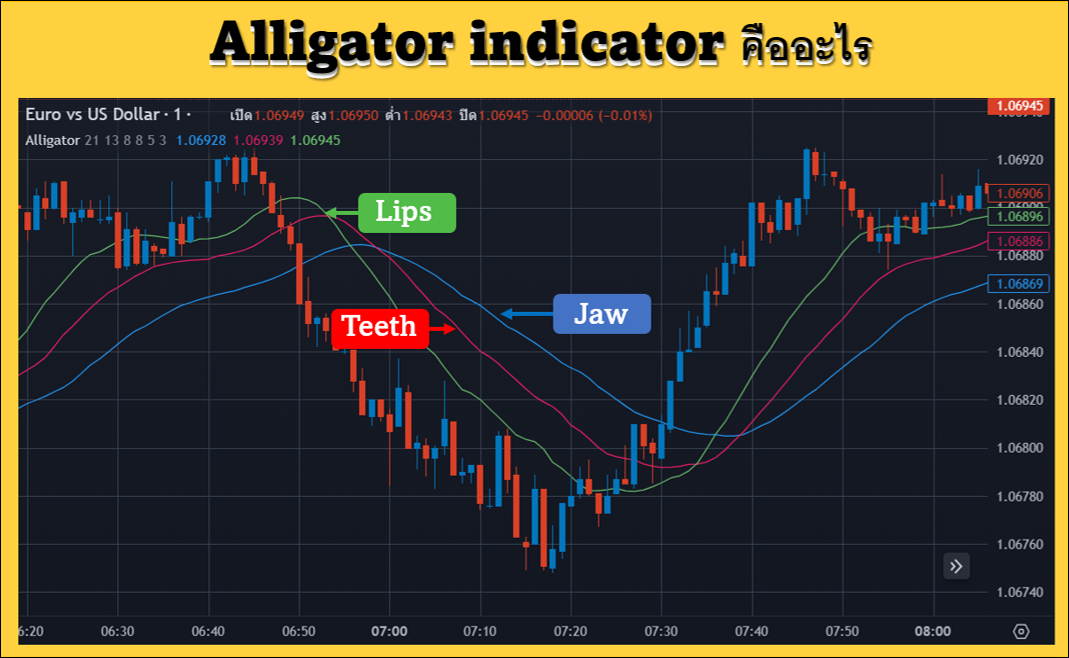 Alligator indicator คืออะไร