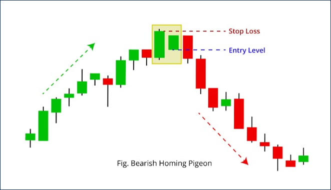 Bearish Homing Pigeon