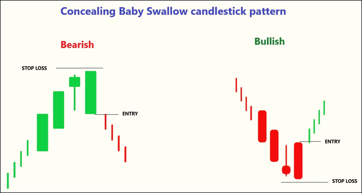 Concealing Baby Swallow