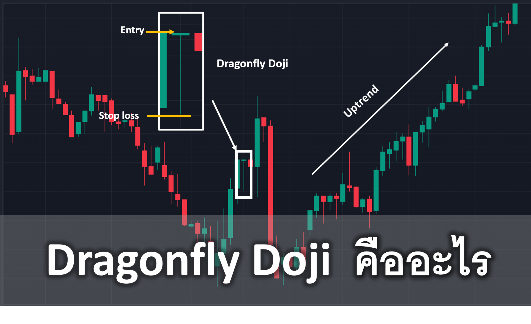 Dragonfly Doji คืออะไร การใช้งาน การวิเคราะห์ตลาด Forex Bull Bear