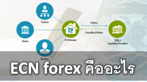 ECN forex คืออะไร โบรกเกอร์ forex ECN มีอะไรบ้าง