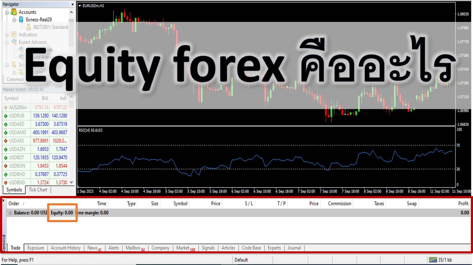 Equity forex คืออะไร วิธีดู Equity ในโปรแกรม MT4