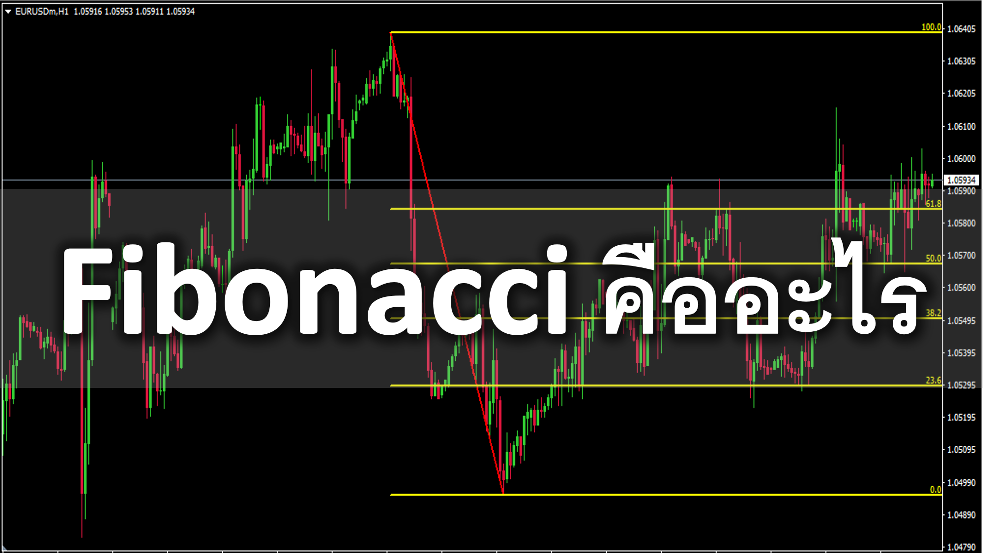 Fibonacci คืออะไร ทฤษฎี fibonaci การลากเส้นฟิโบ