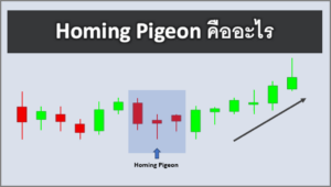 Homing Pigeon คืออะไร การวิเคราะห์ รูปแบบกราฟ Homing Pigeon Candlestick