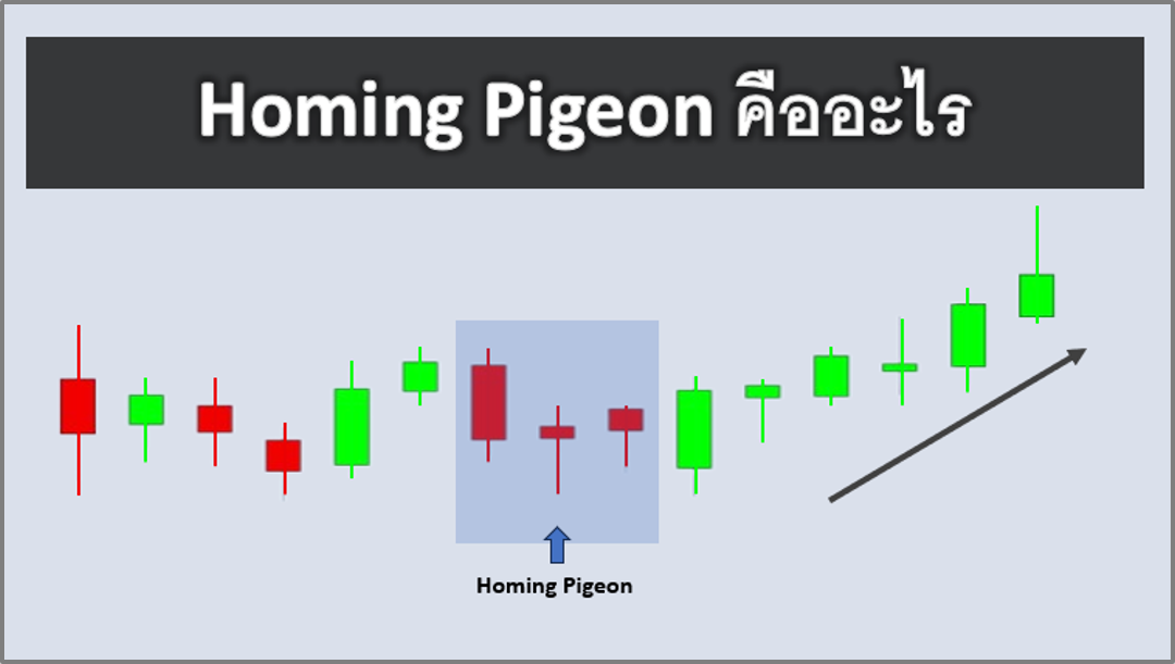 Homing Pigeon คืออะไร การวิเคราะห์ รูปแบบกราฟ Homing Pigeon Candlestick