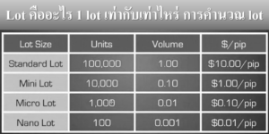 Lot คืออะไร