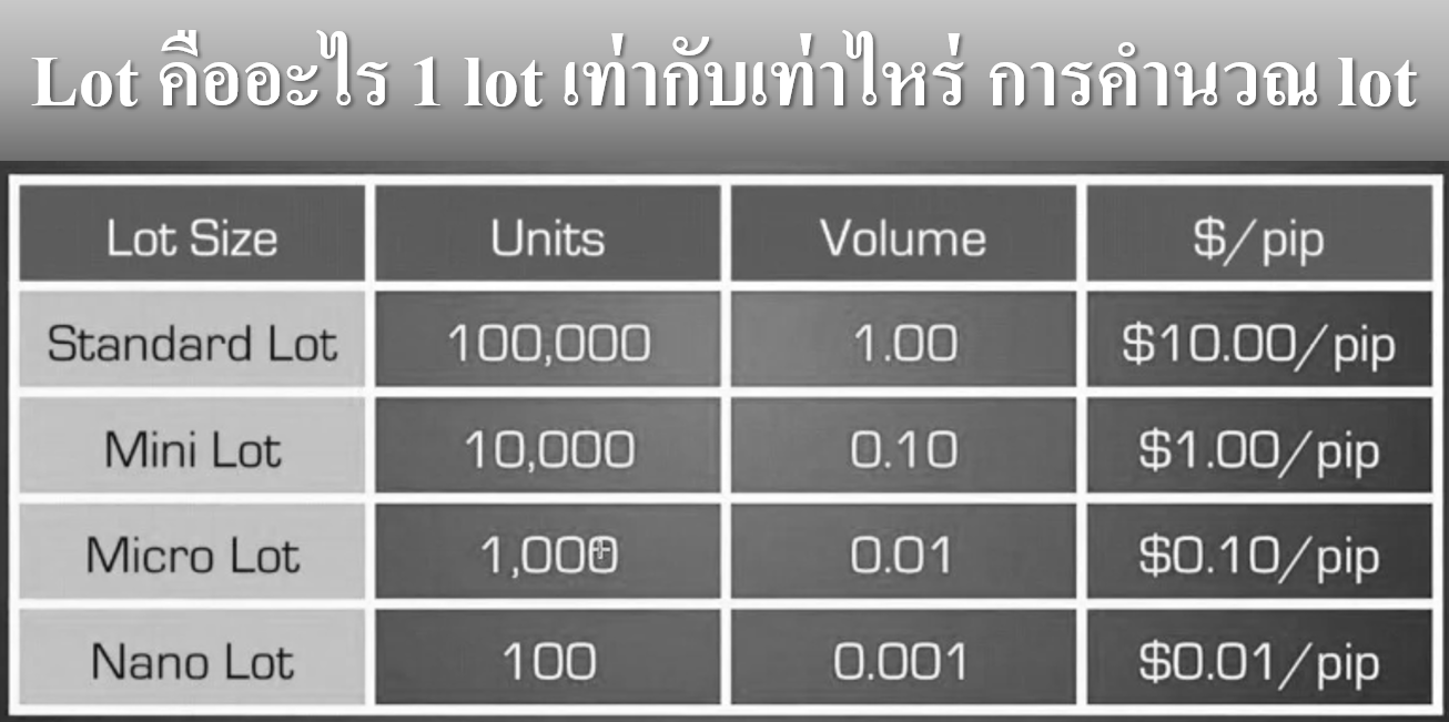 Lot คืออะไร