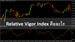 Relative Vigor Index คืออะไร ที่มา สูตรการคำนวณ การวิเคราะห์ใน MT4 และ Forex