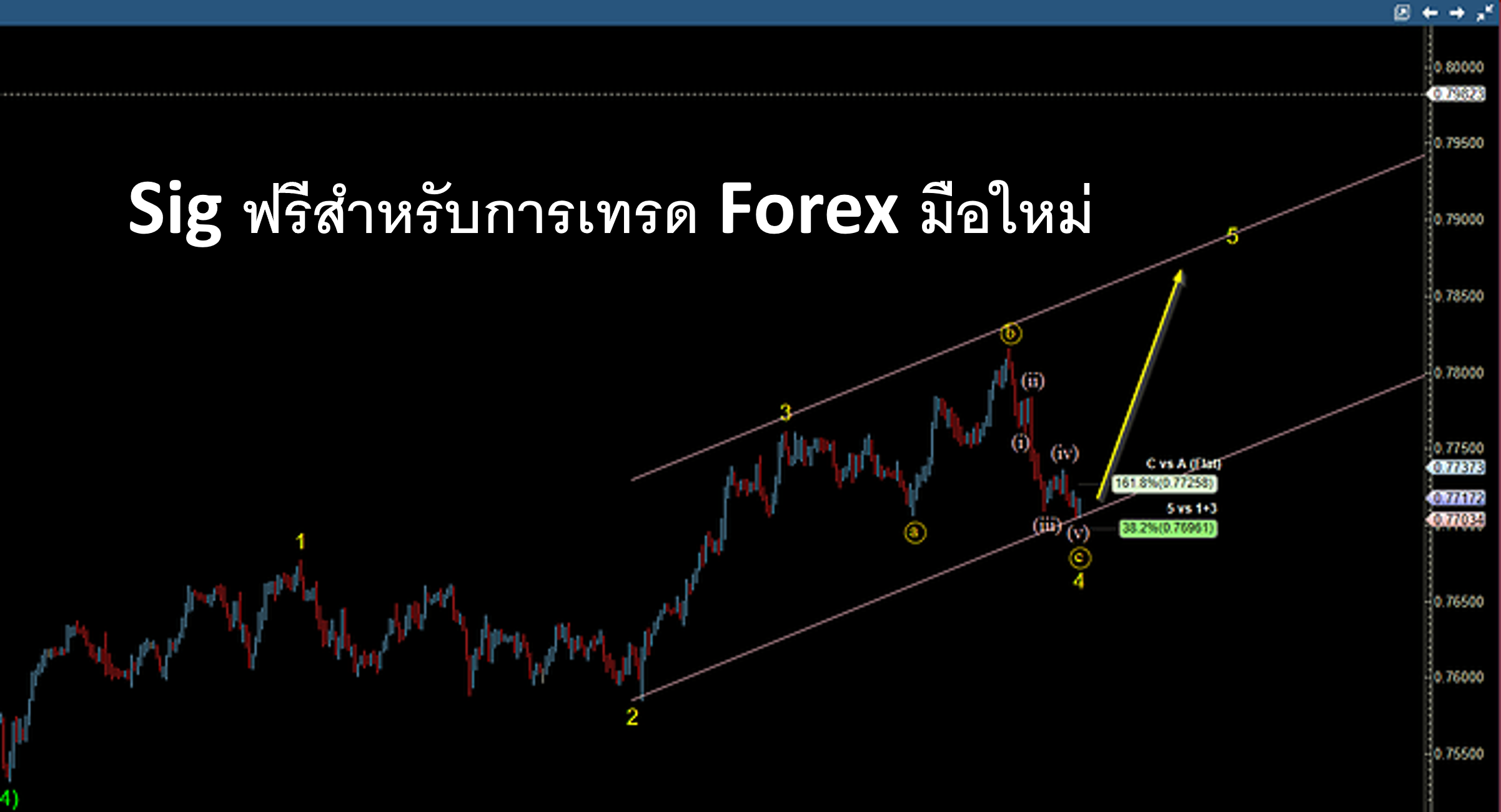 Sig ฟรีสำหรับการเทรด Forex มือใหม่