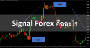 Signal Forex คืออะไร Sig ฟรีสำหรับการเทรด Forex มือใหม่