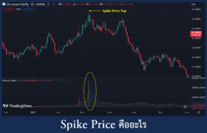 Spike Price คืออะไร2