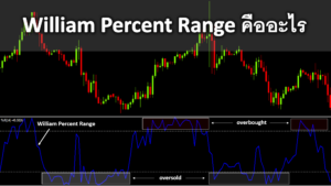 William Percent Range คืออะไร ที่มาสูตรการคำนวณและวิธีวิเคราะห์ William Percent Range