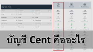 บัญชี Cent ในตลาด Forex คืออะไร จำนวนเงินในบัญชี Cent คืออะไร โบรกเกอร์บัญชี Cent