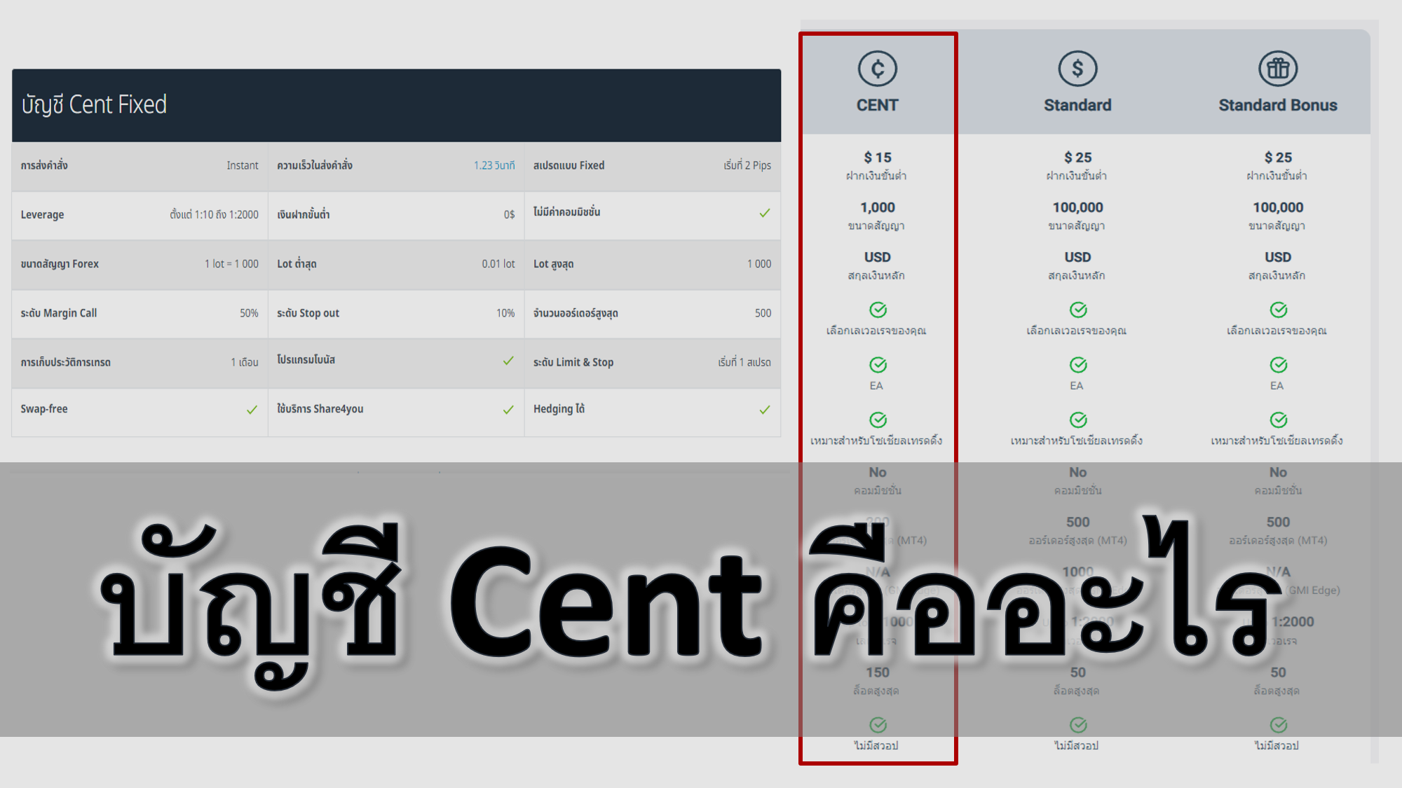 บัญชี Cent ในตลาด Forex คืออะไร จำนวนเงินในบัญชี Cent คืออะไร โบรกเกอร์บัญชี Cent