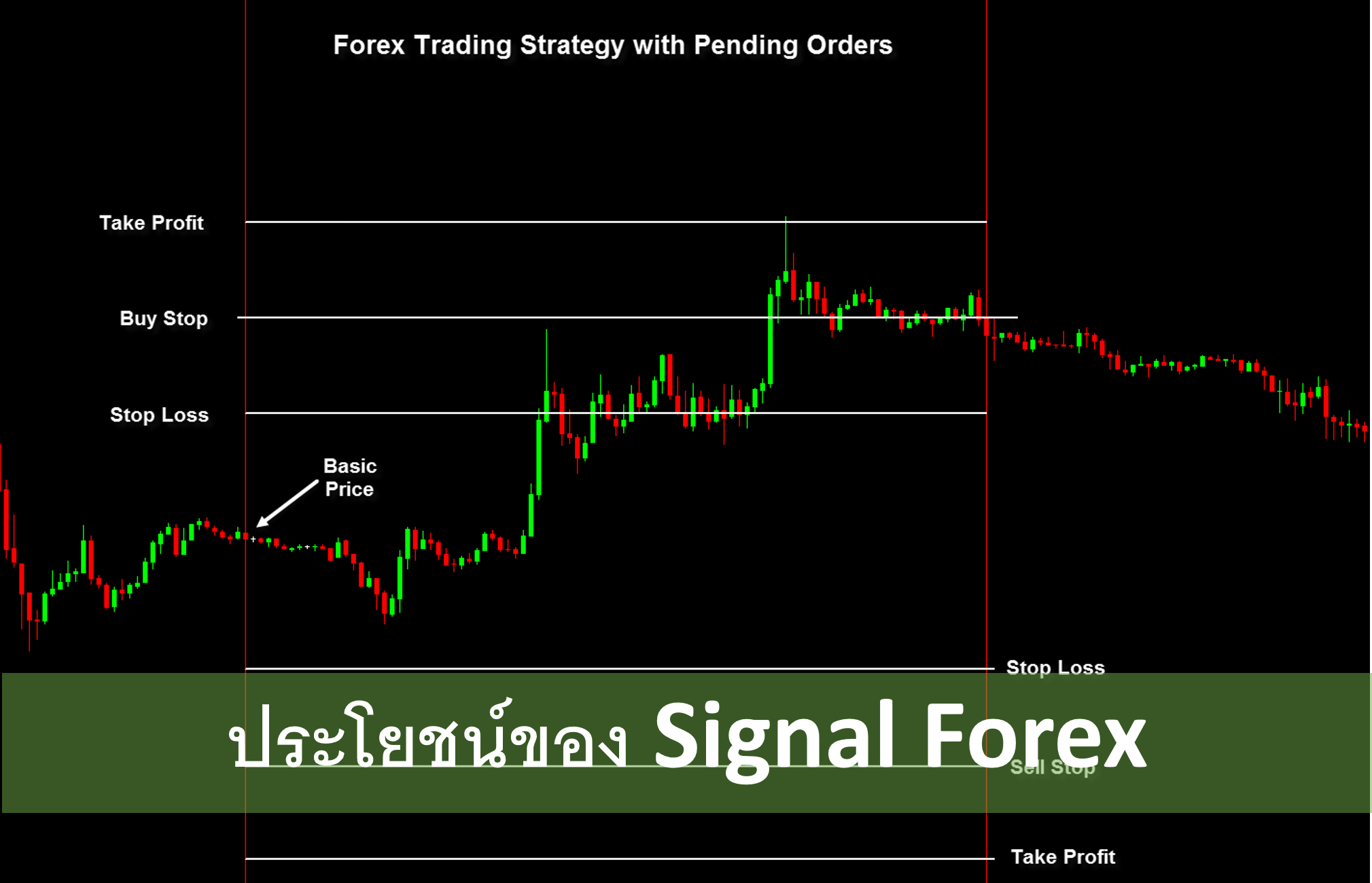 ประโยชน์ของ Signal Forex